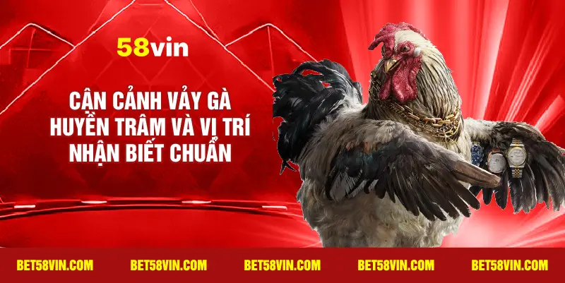 Cận cảnh Vảy Gà Huyền Trâm và vị trí nhận biết chuẩn