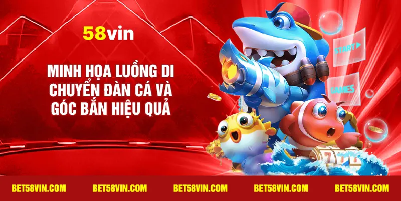 Minh họa luồng di chuyển đàn cá và góc bắn hiệu quả