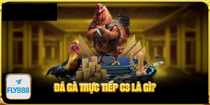 Đá gà fly888 - Nền tảng tin cậy: kiểm soát trận và dữ liệu rõ ràng