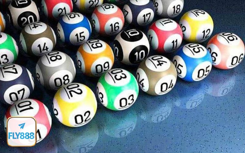 Mơ thấy rắn - Bị rắn đuổi, rắn cắn hoặc xuất hiện dày đặc